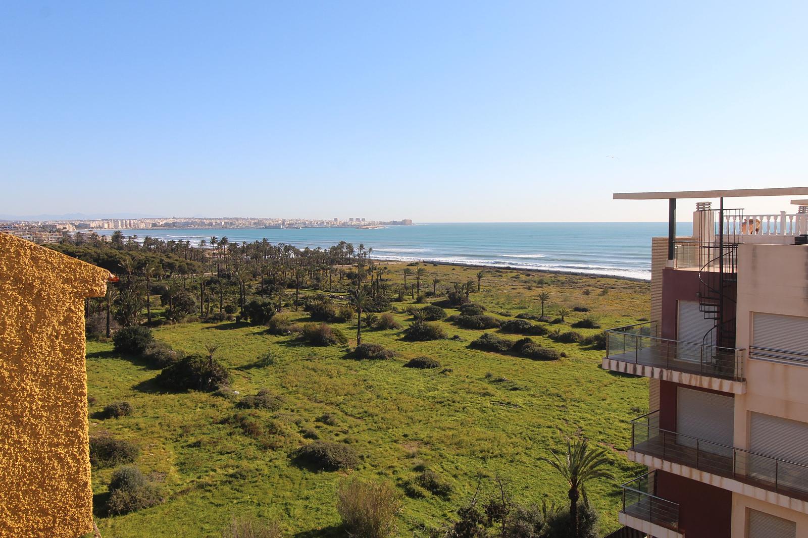 Apartments in Punta Prima, Orihuela (ALC-01223) — photograph 4