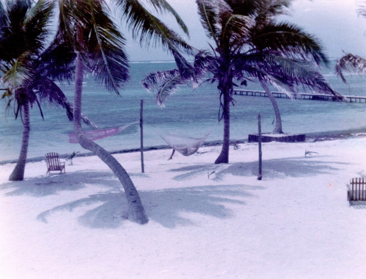 North Ambergris Caye